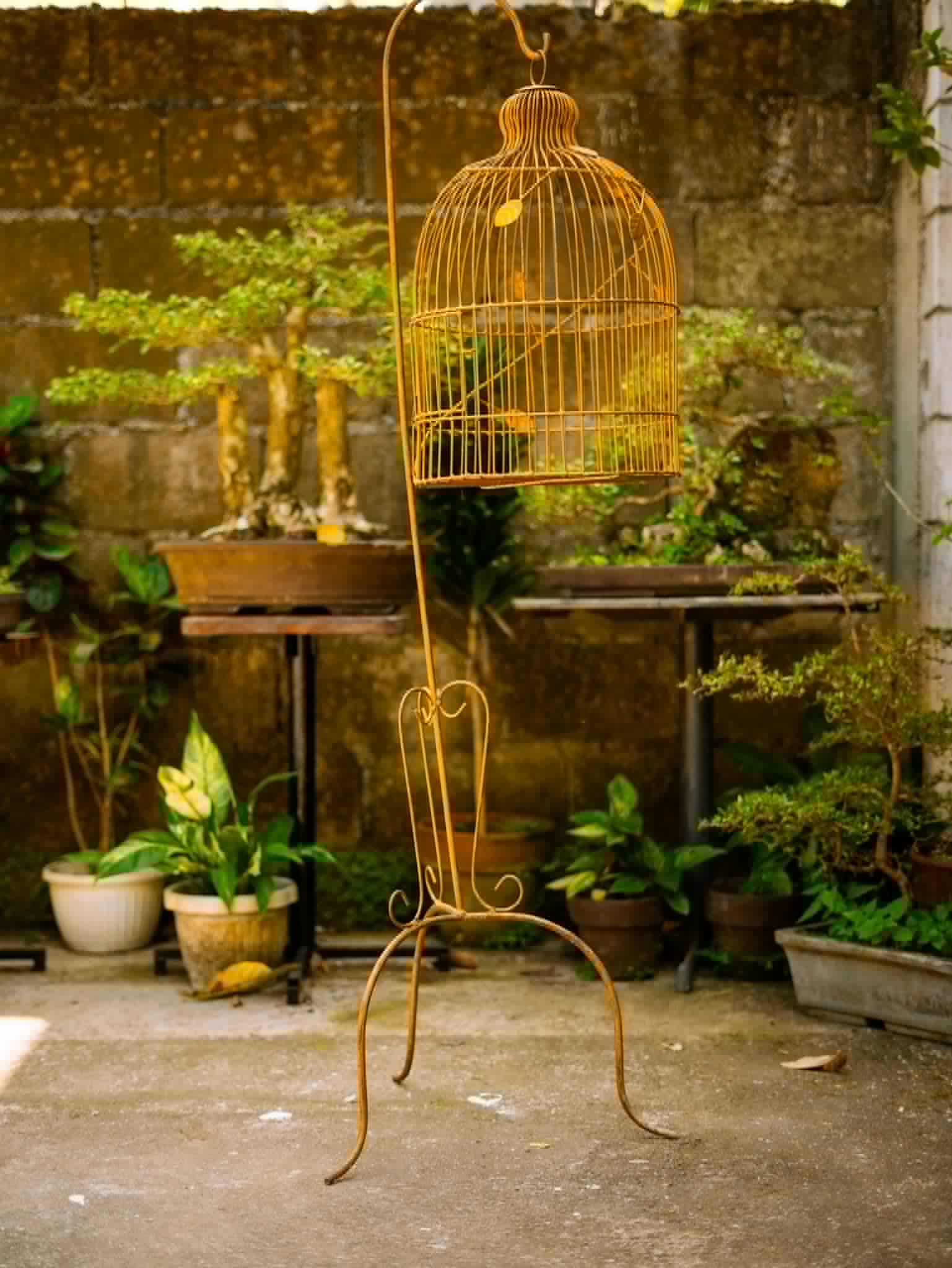 Tall vintage birdcage on a decorative metal stand