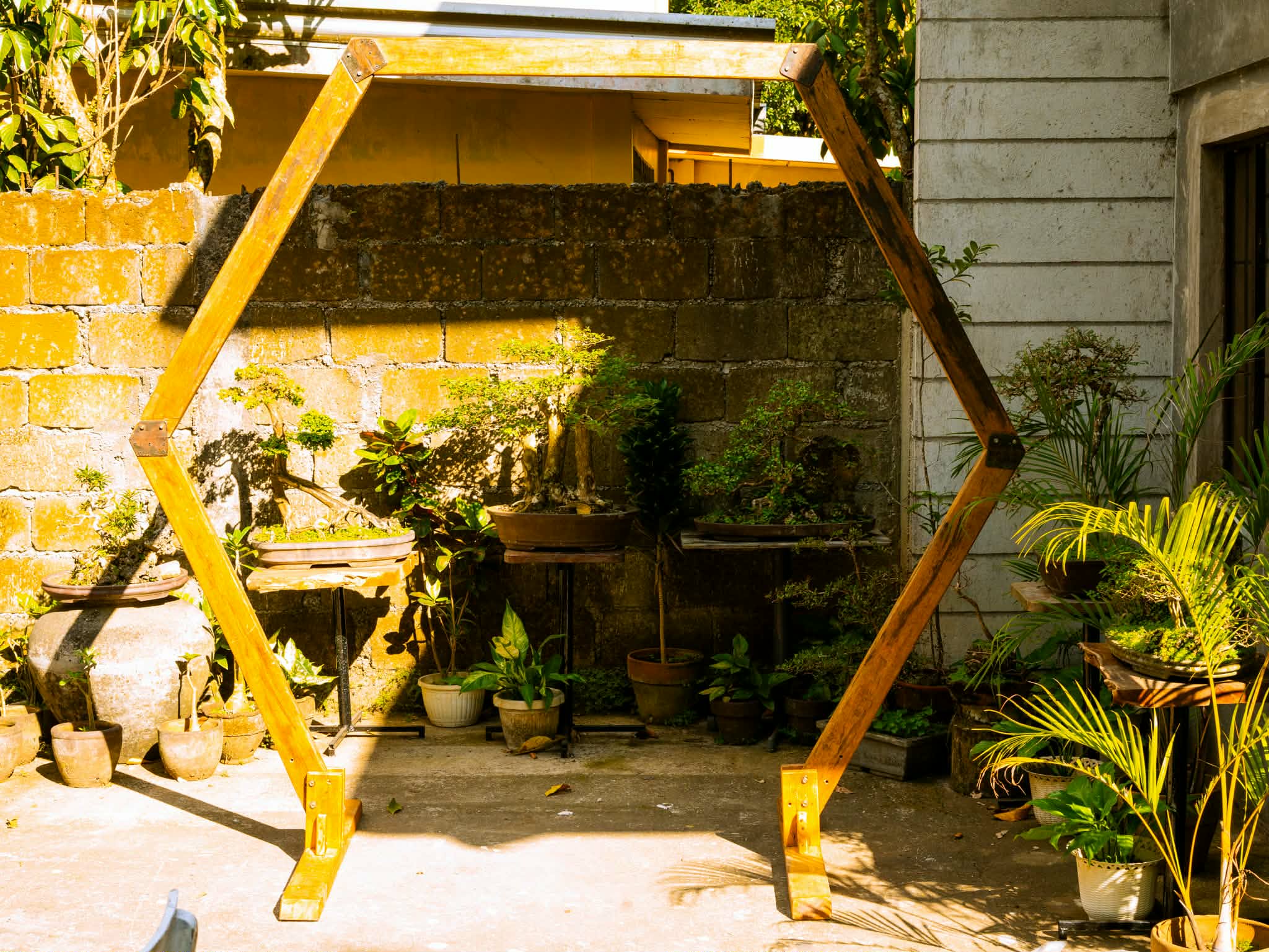 Raw timber hexagonal arch frame