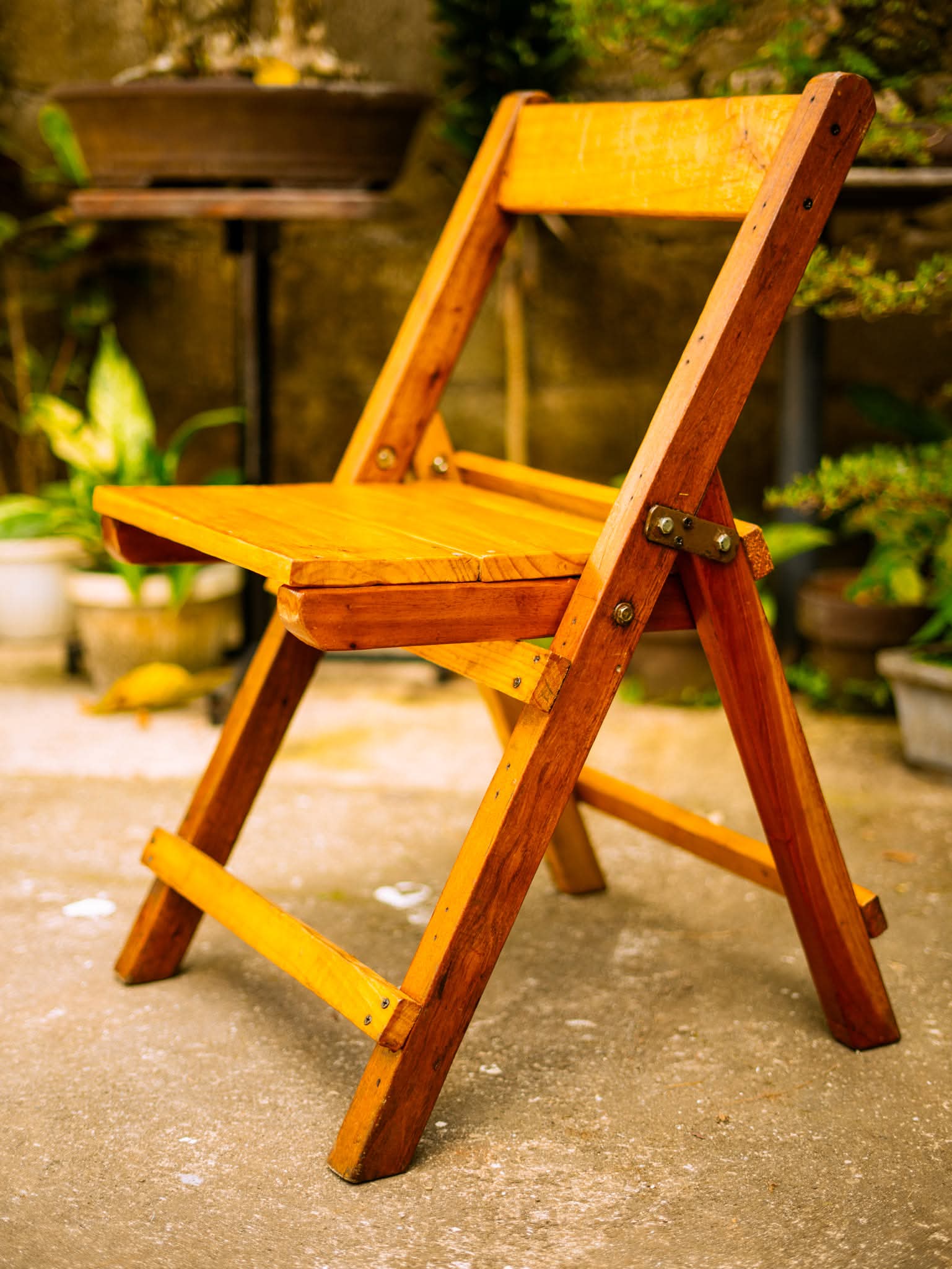 Natural wood folding chair, honey-toned finish