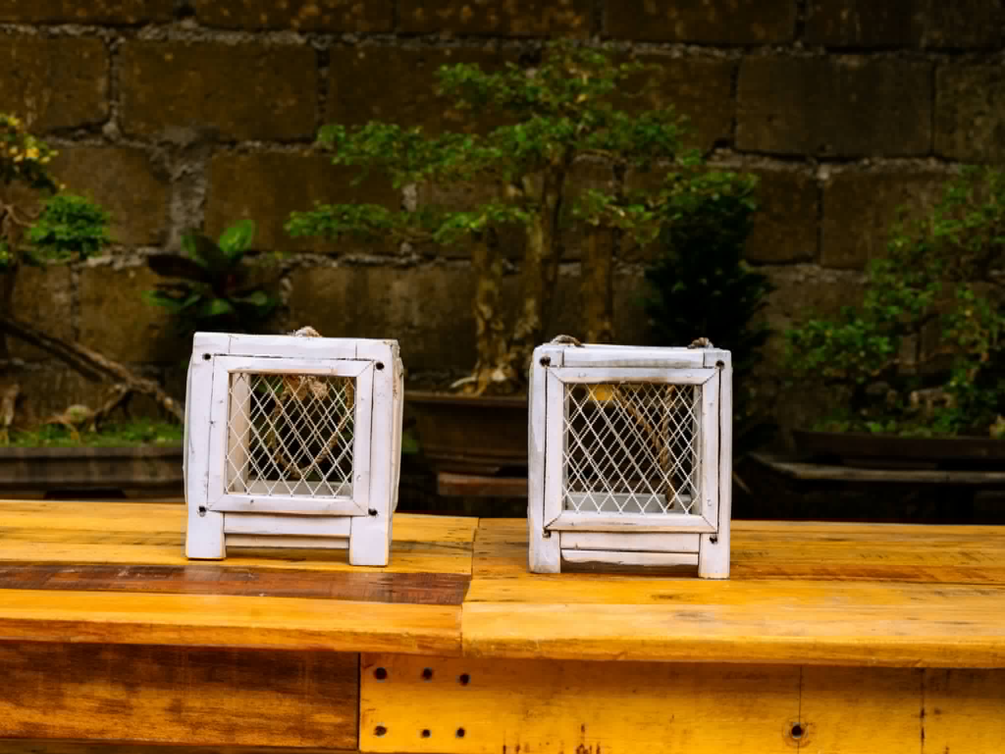 Pair of compact white lanterns with diamond mesh panels