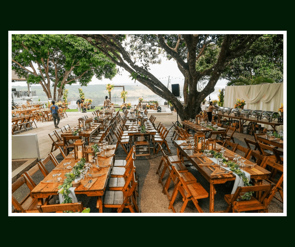 Long wooden banquet tables beneath a large tree